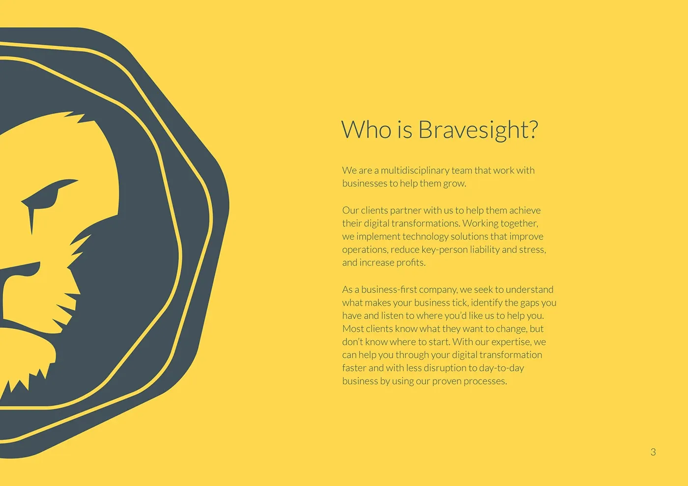 Bravesight Capabilities & Services eBook, image 3