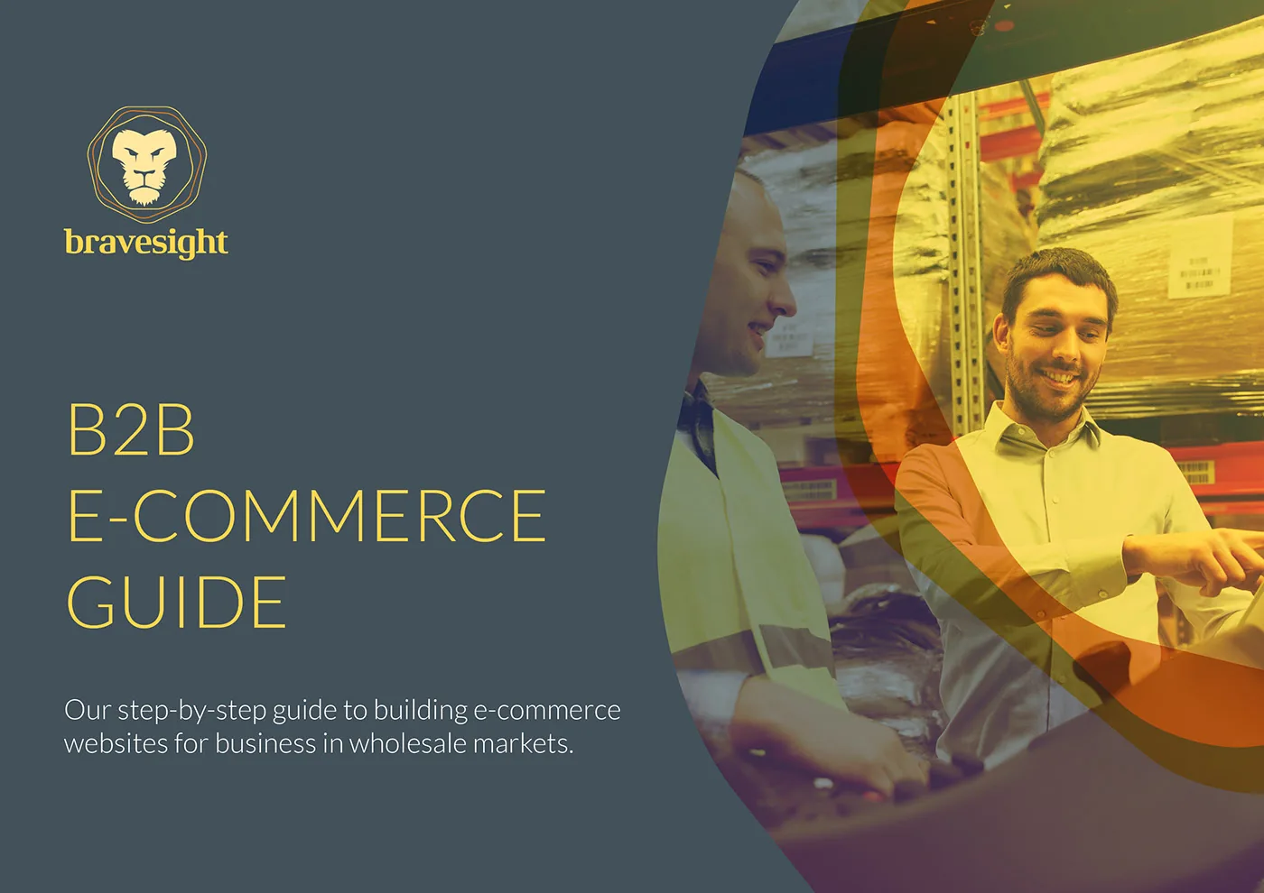 Bravesight E-commerce Guide Series · B2B E-commerce Guide, image 1