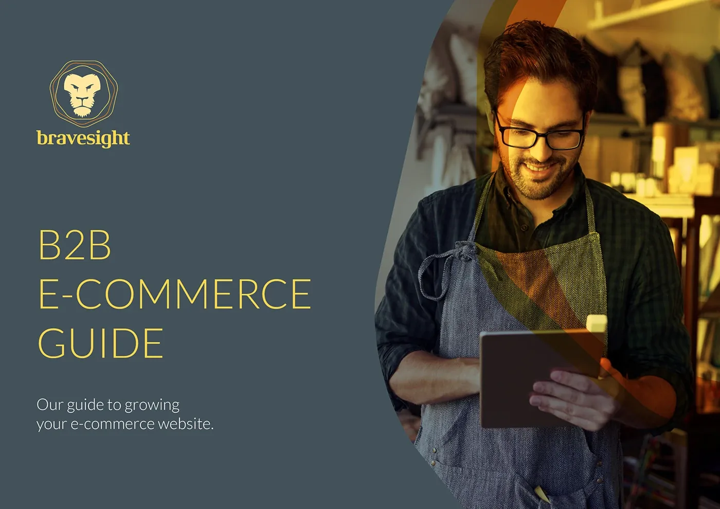 Bravesight E-commerce Guide Series · Growth, image 1