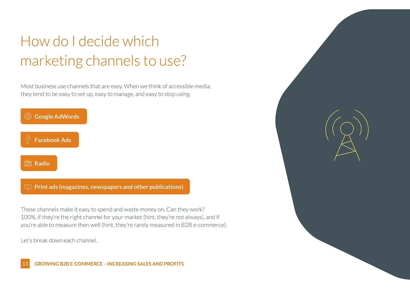 Bravesight E-commerce Guide Series · Growth, image 13