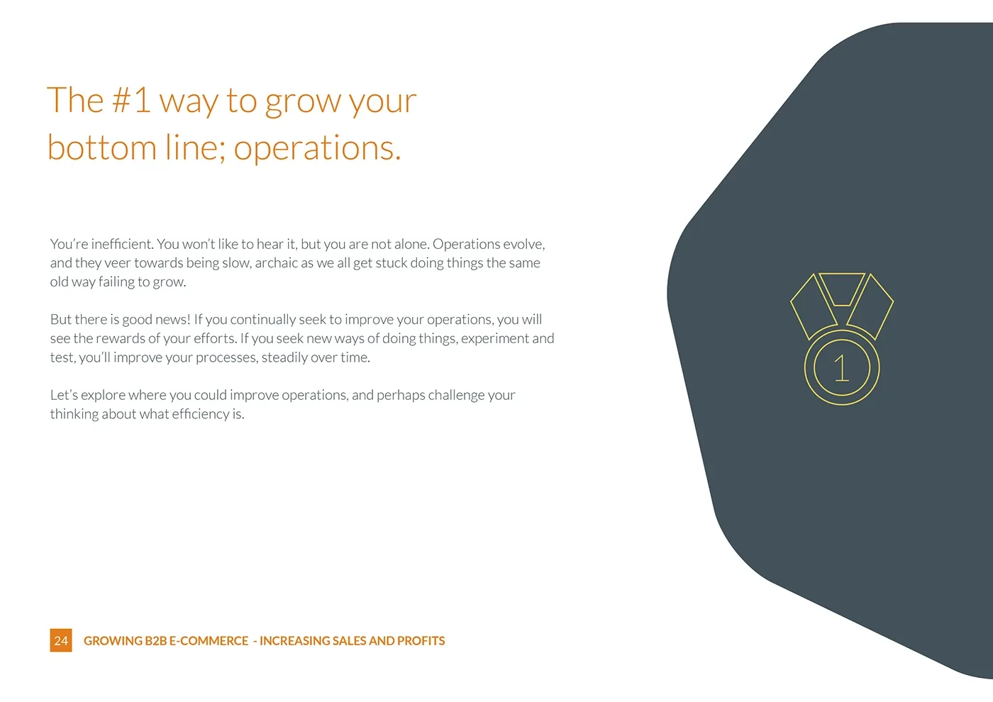 Bravesight E-commerce Guide Series · Growth, image 24