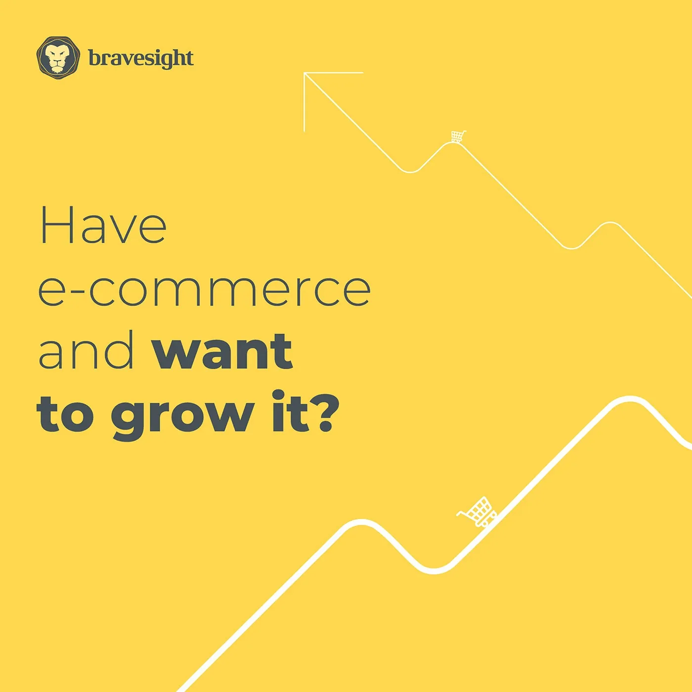 Bravesight LinkedIn Carousels · Driving e-commerce growth, image 1