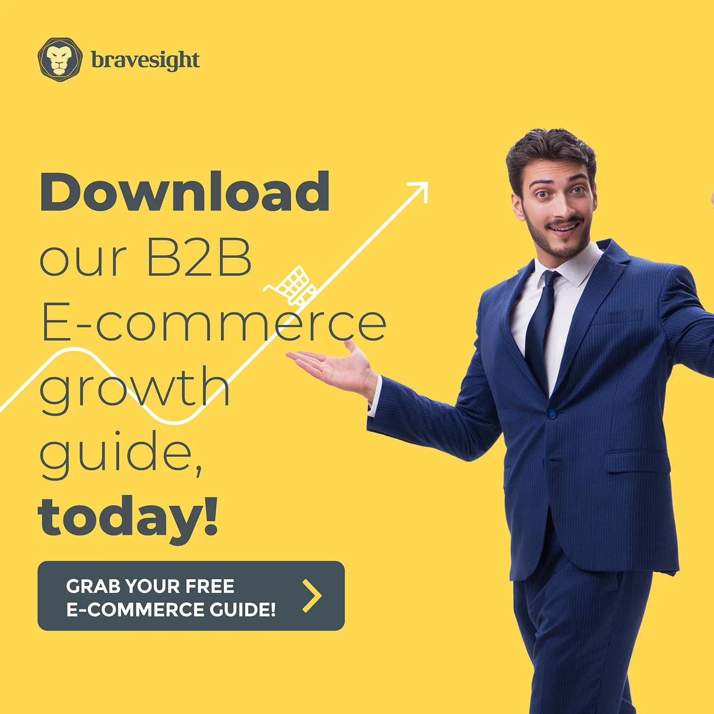 Bravesight LinkedIn Carousels · Driving e-commerce growth, image 5
